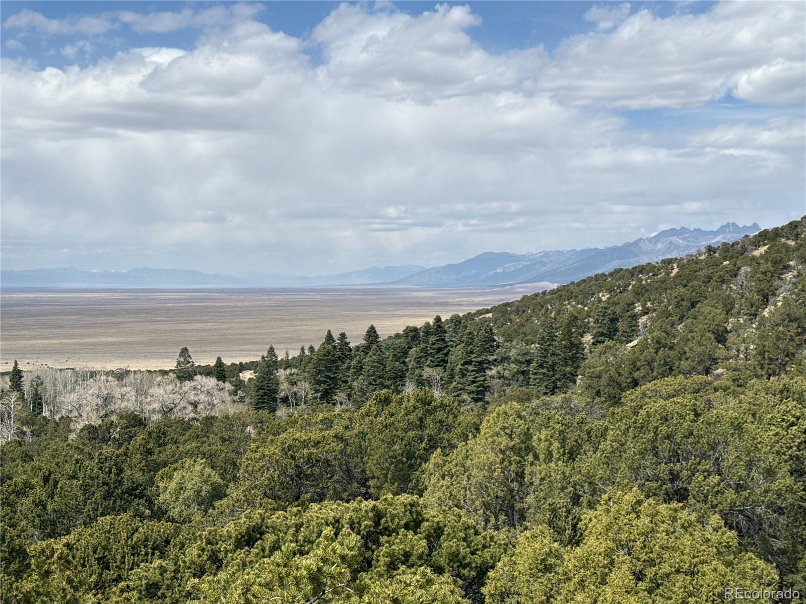 189 Cedar Ridge Road Mosca CO 81146