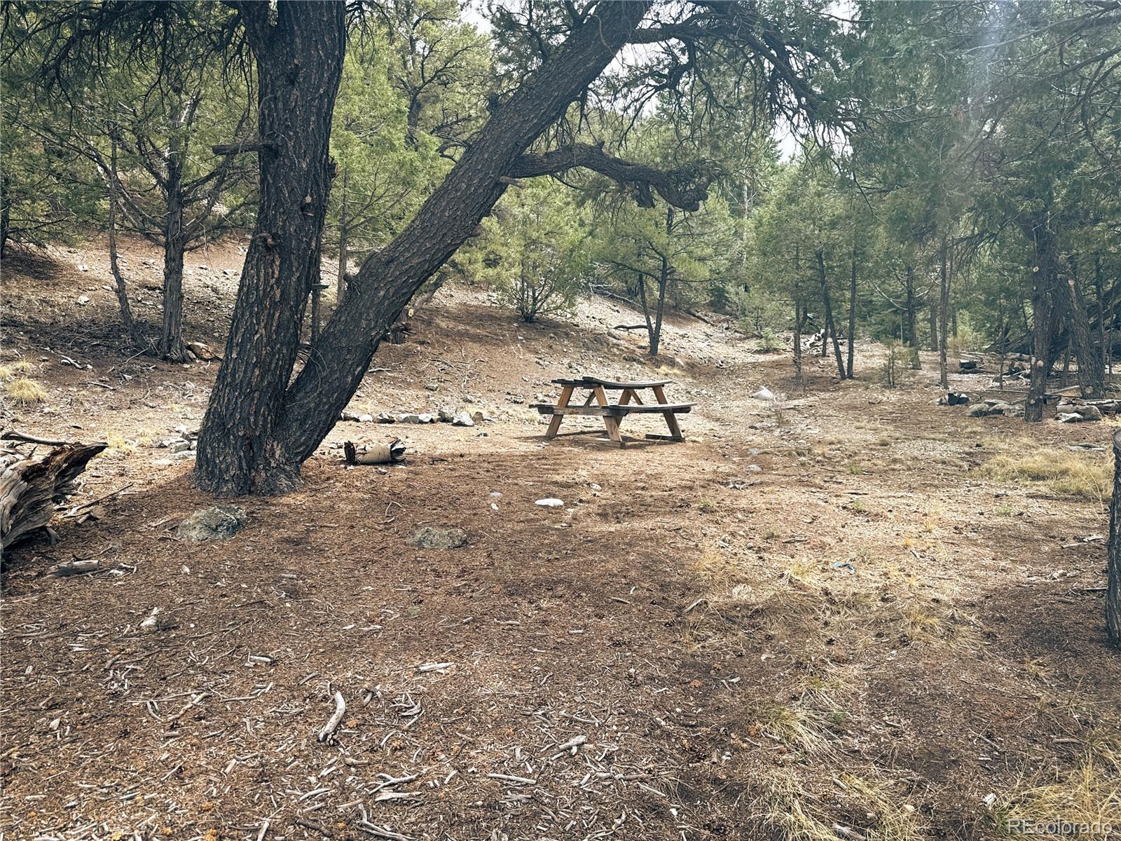 189 Cedar Ridge Road Mosca CO 81146