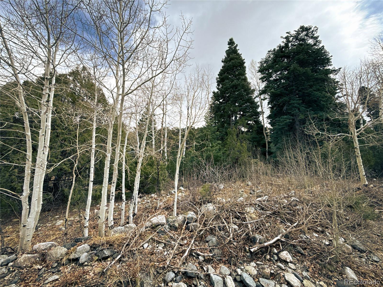 189 Cedar Ridge Road Mosca CO 81146