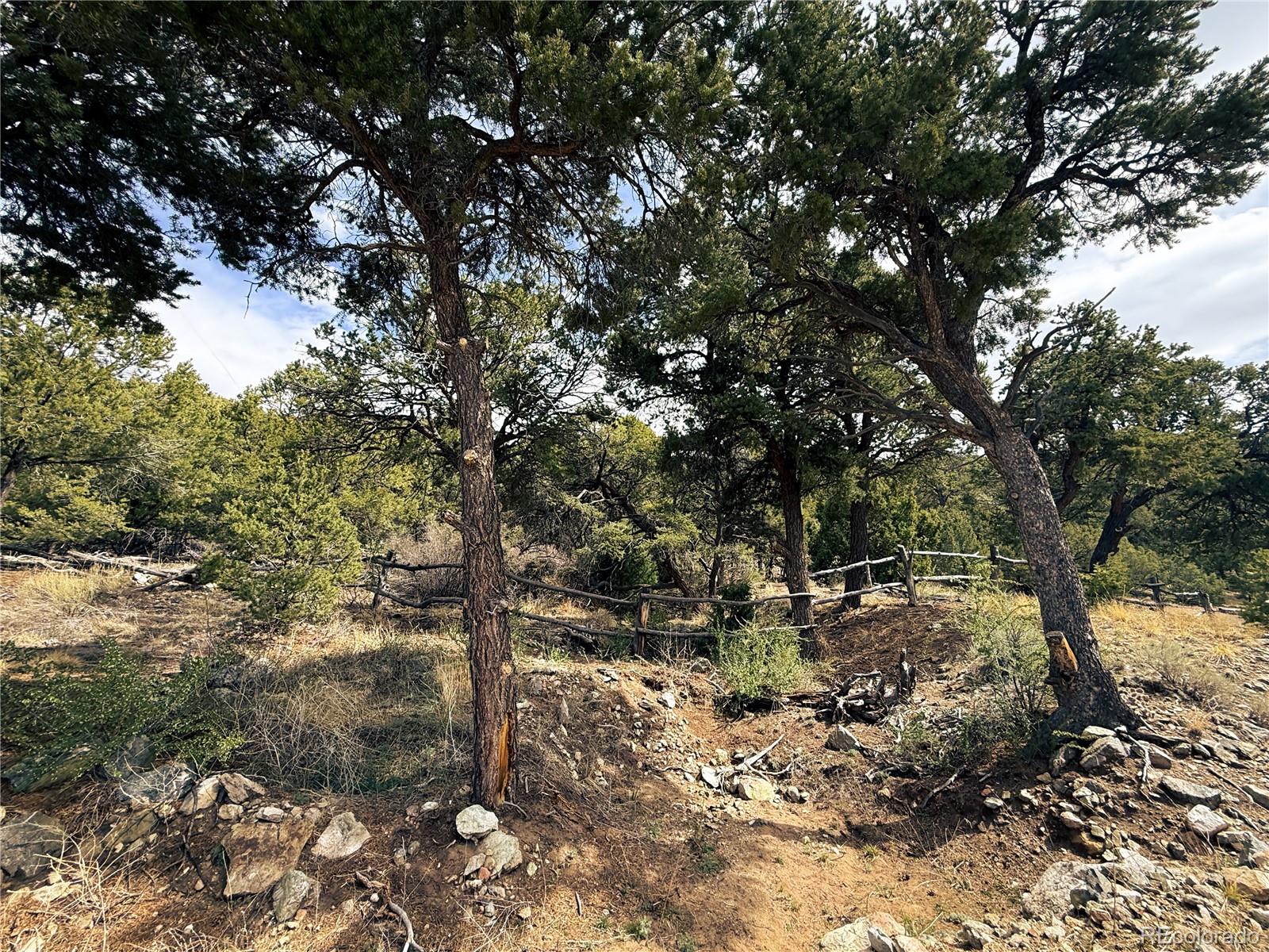 189 Cedar Ridge Road Mosca CO 81146