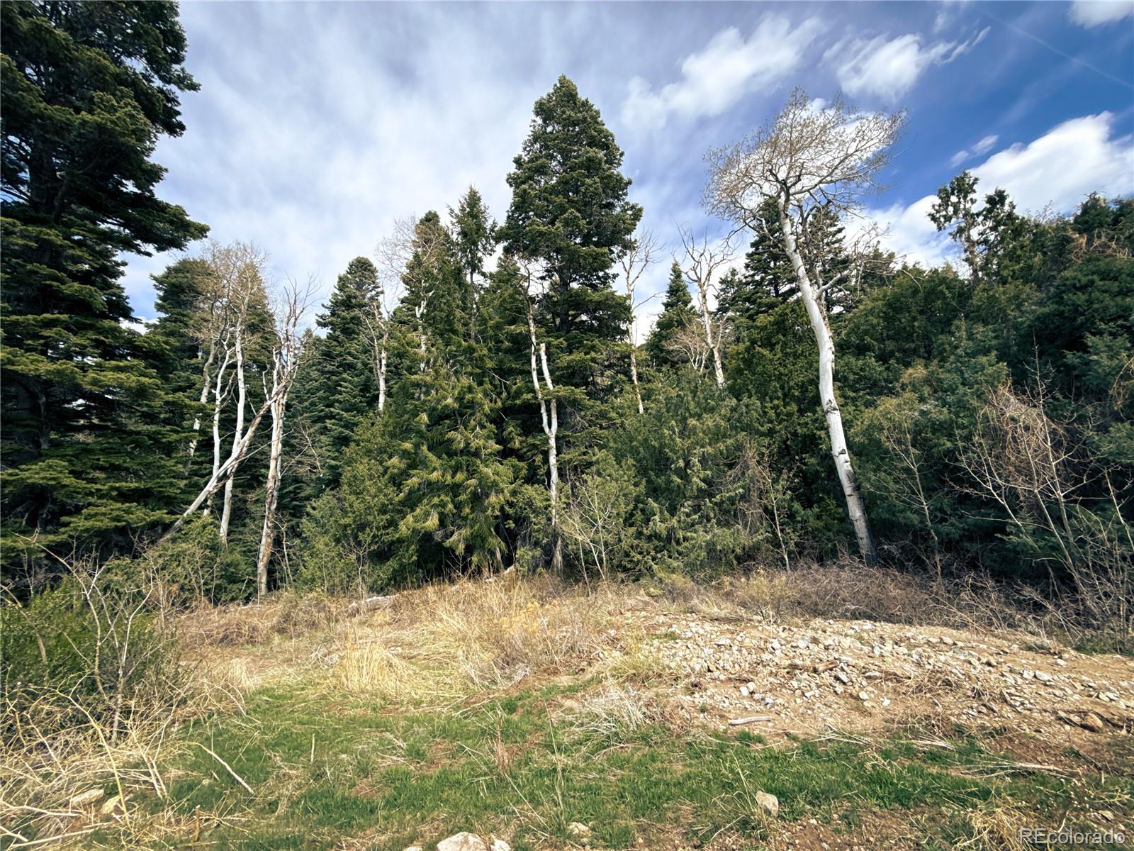189 Cedar Ridge Road Mosca CO 81146