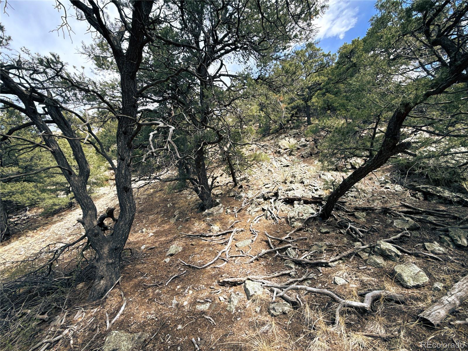 189 Cedar Ridge Road Mosca CO 81146