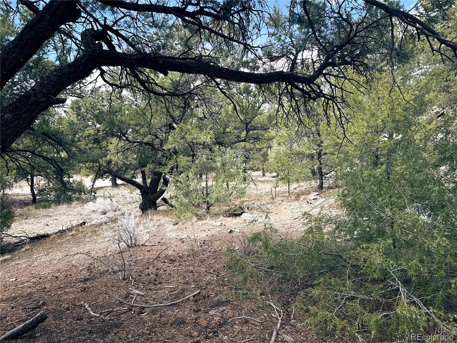 189 Cedar Ridge Road Mosca CO 81146