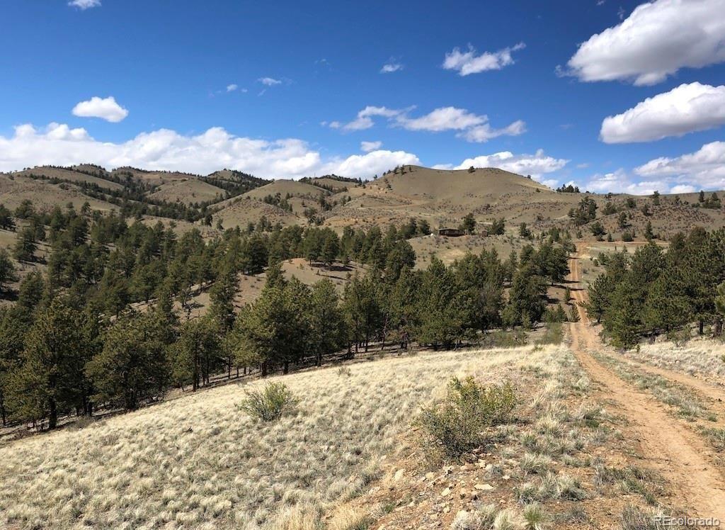 Lot 41 Willow Street Hartsel CO 80449