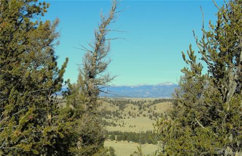 Lot 41 Willow Street Hartsel CO 80449