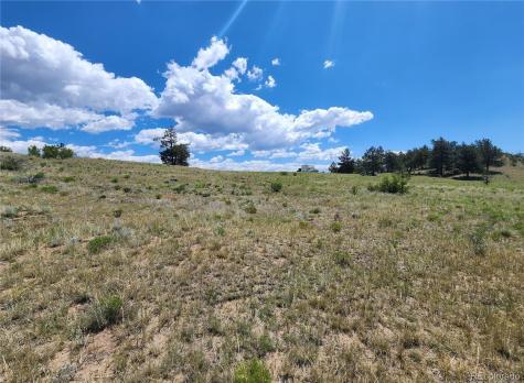 Lot 41 Willow Street Hartsel CO 80449