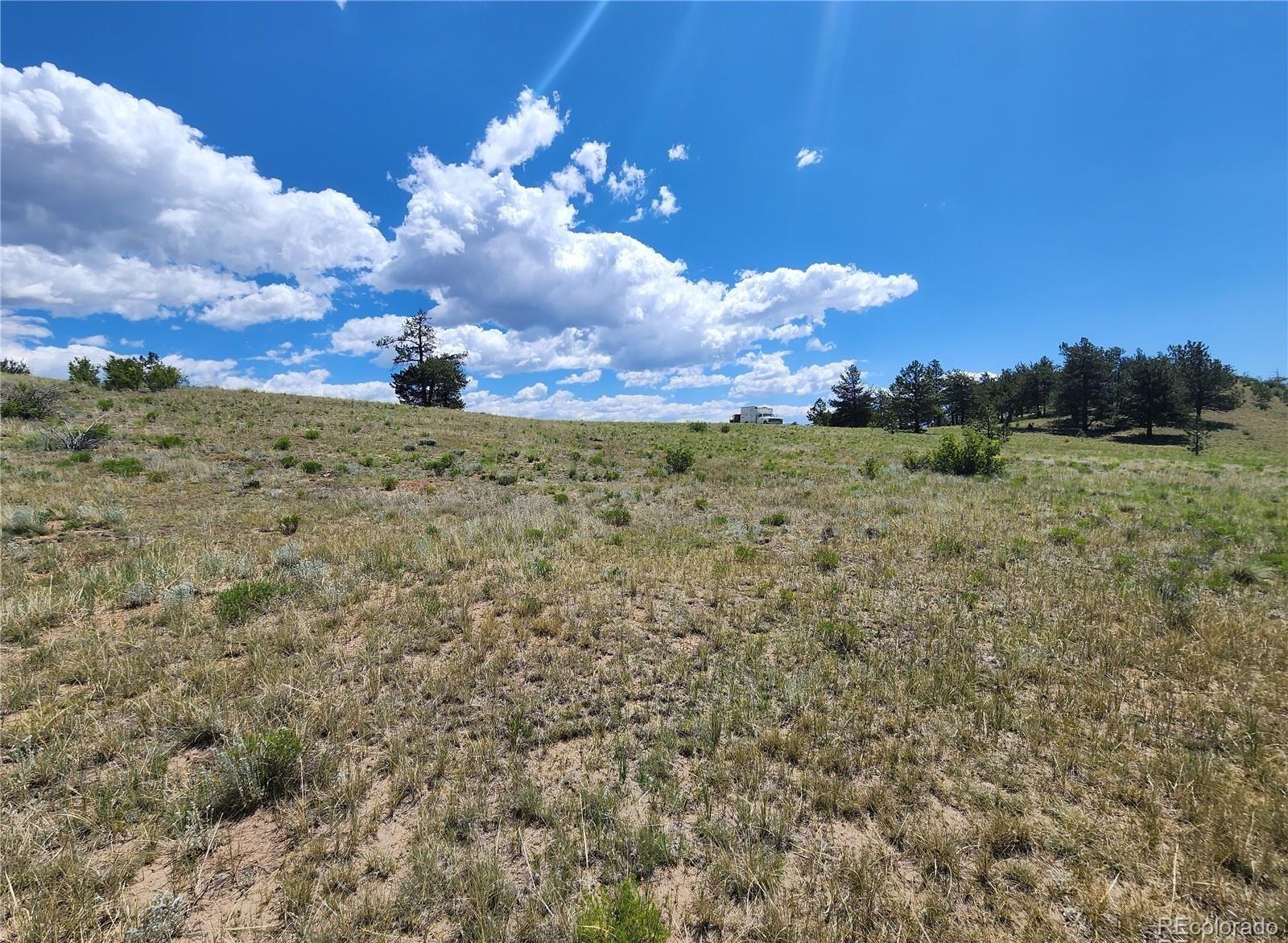 Lot 41 Willow Street Hartsel CO 80449