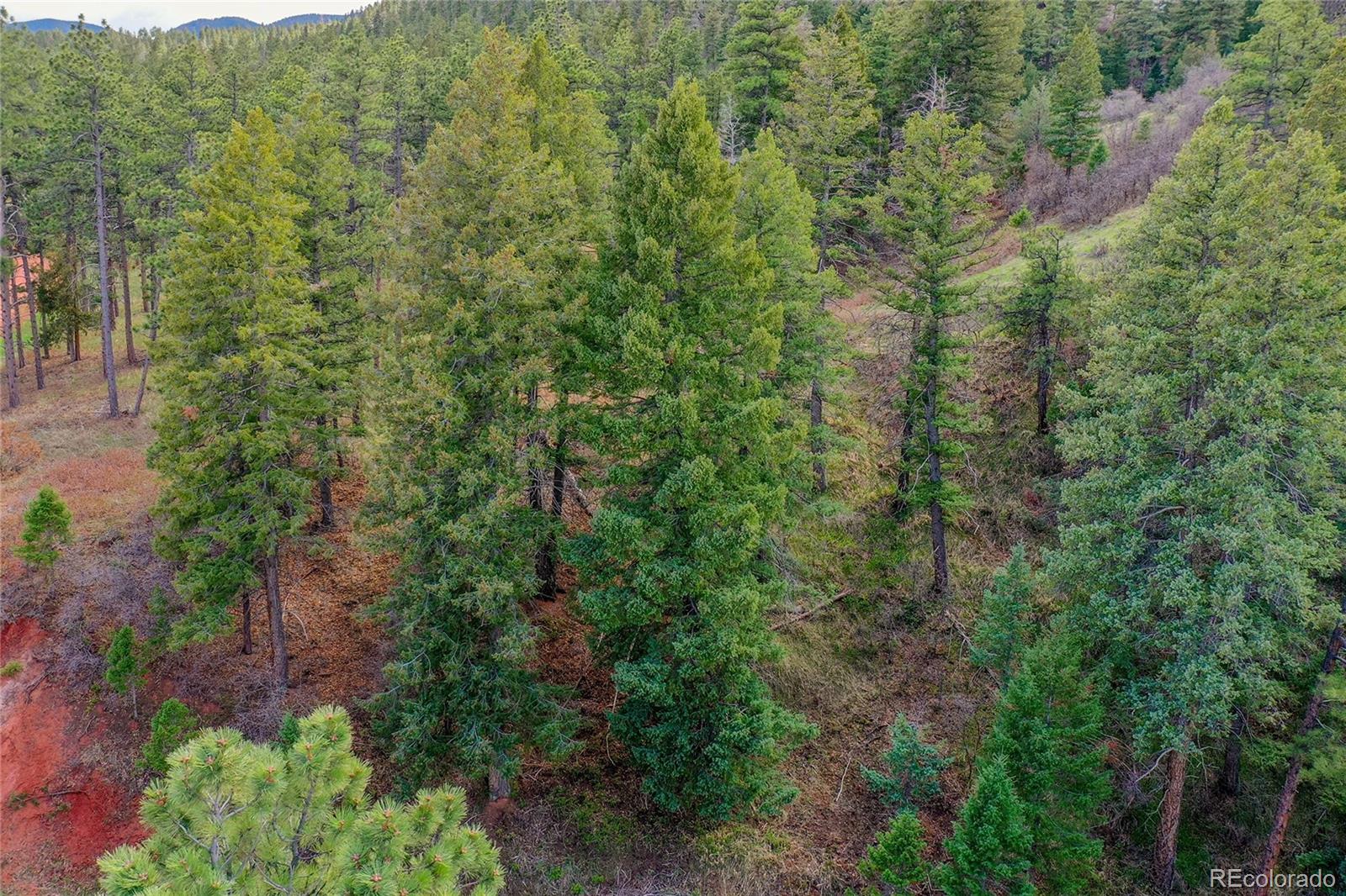 8093 Acoma Drive Larkspur CO 80118