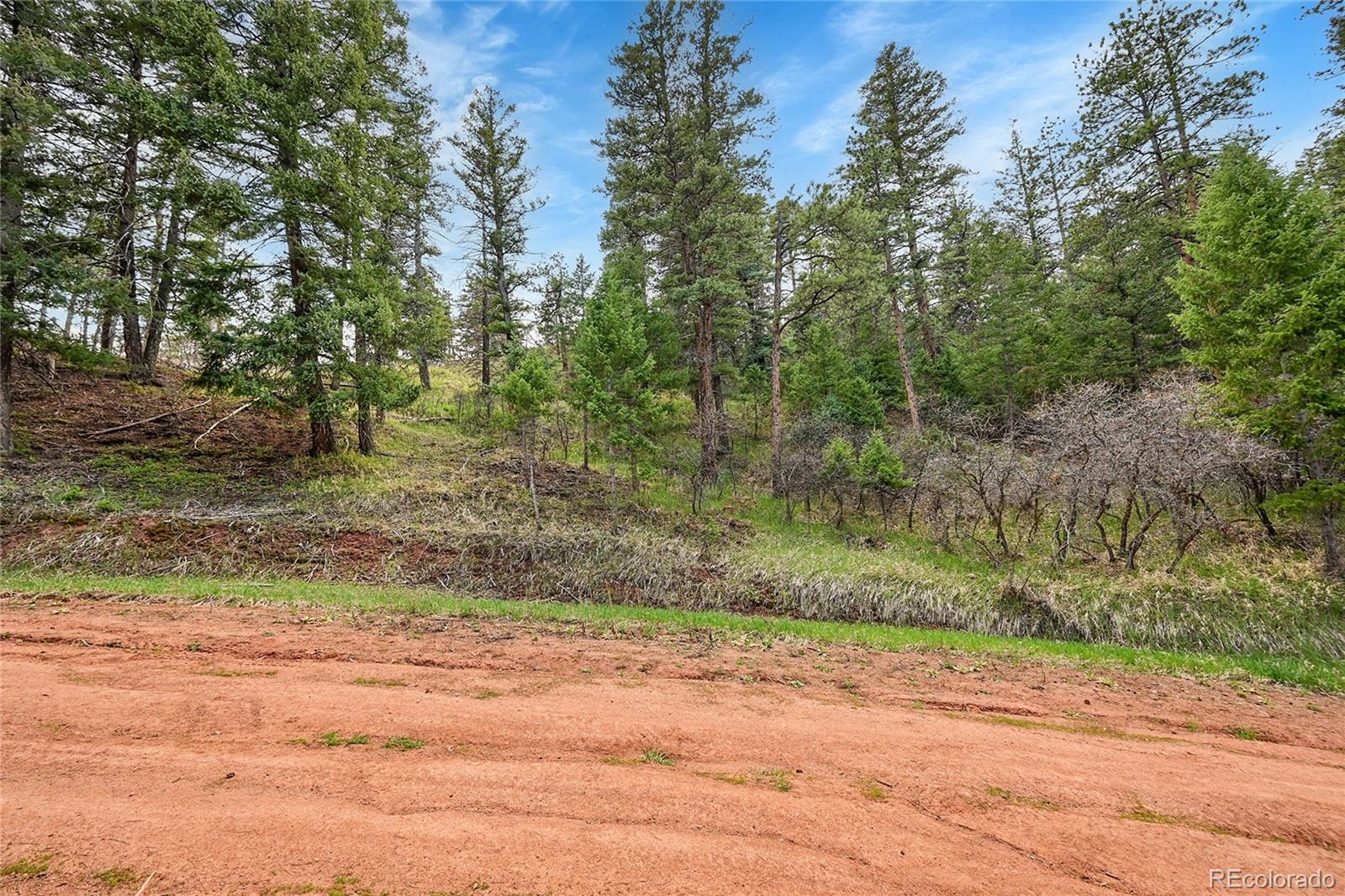8093 Acoma Drive Larkspur CO 80118