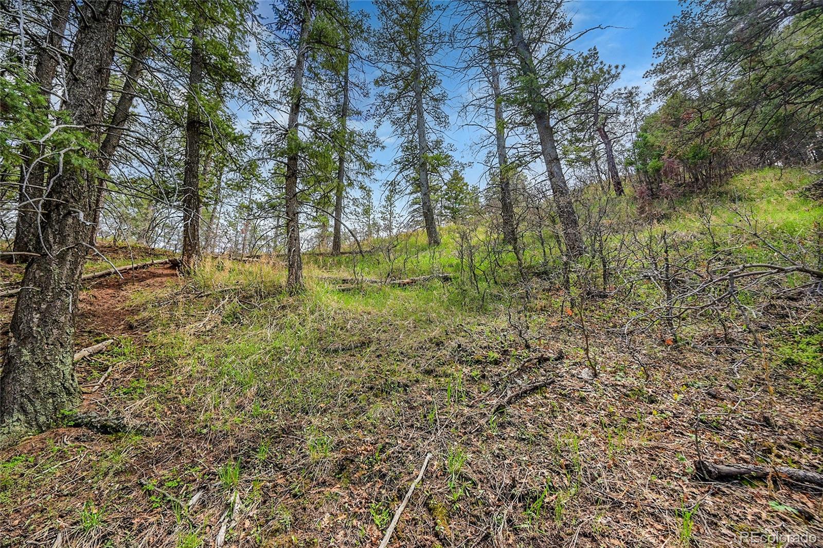 8093 Acoma Drive Larkspur CO 80118