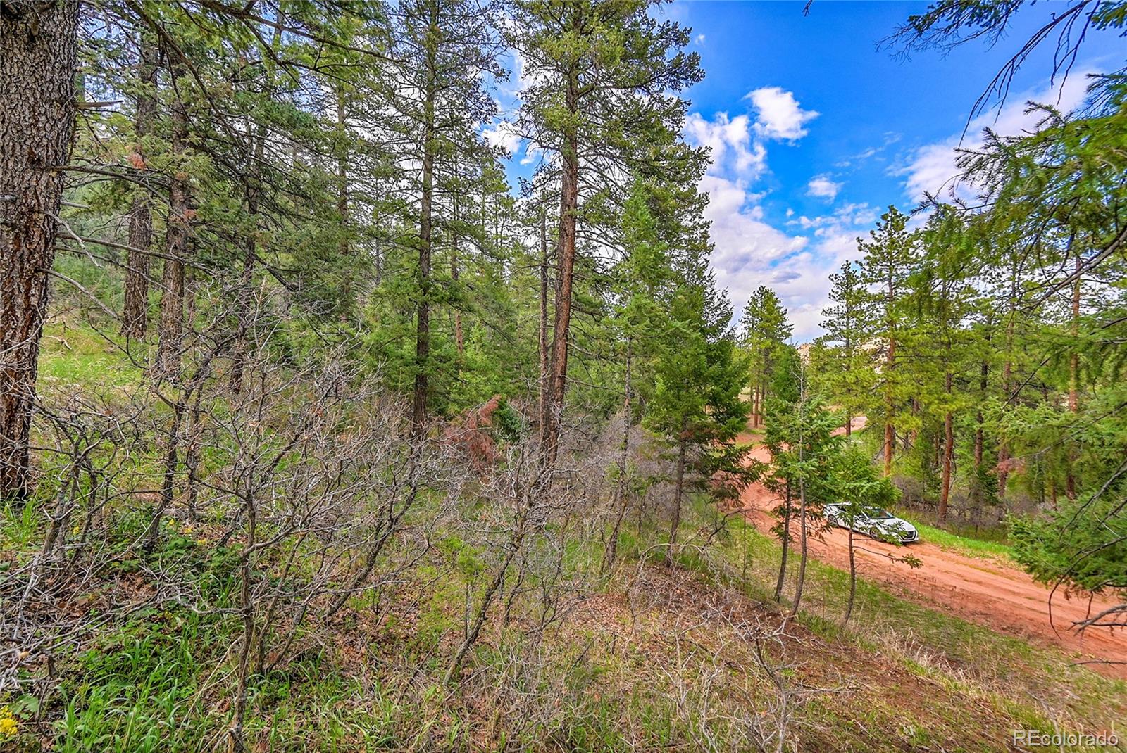 8093 Acoma Drive Larkspur CO 80118