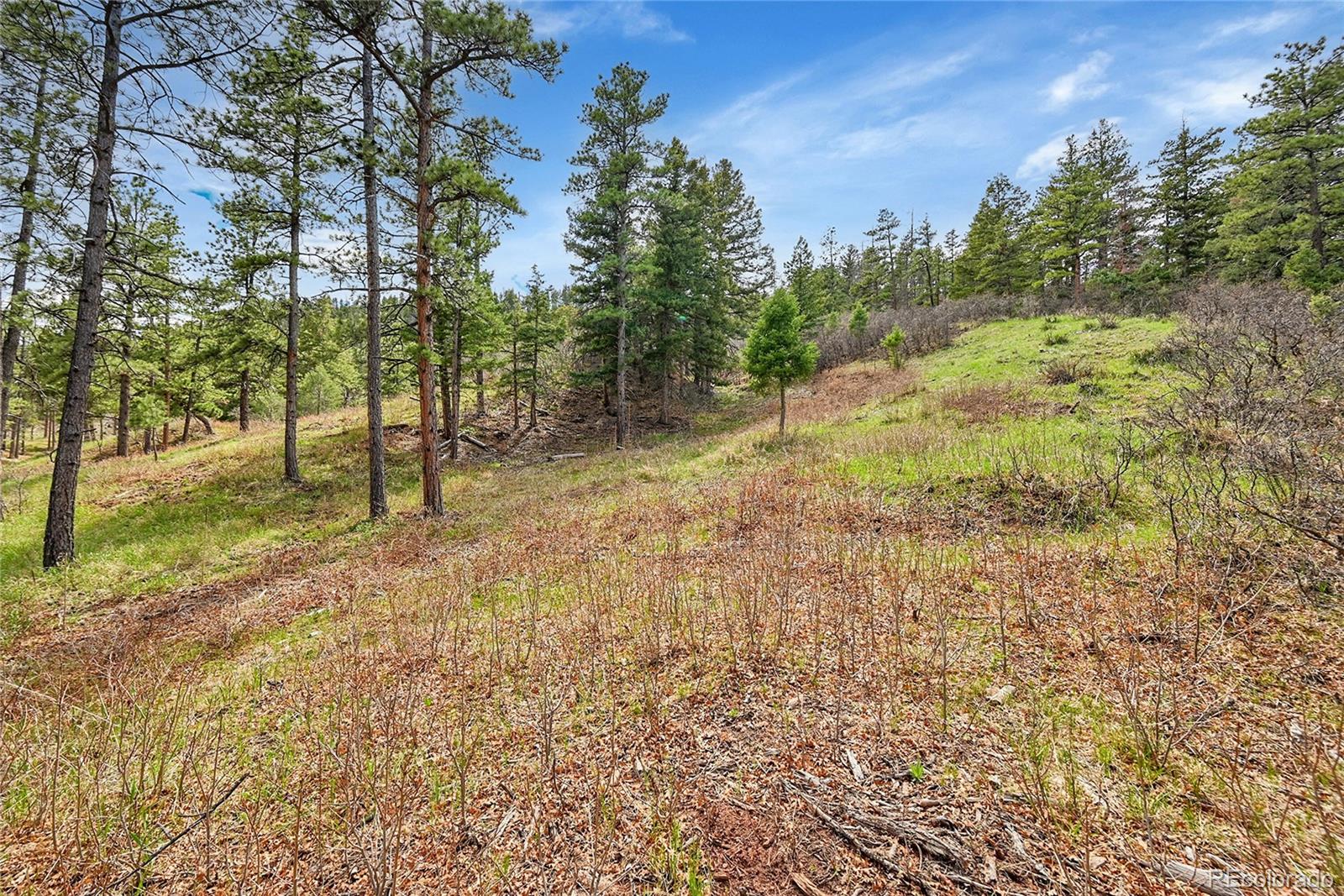 8093 Acoma Drive Larkspur CO 80118