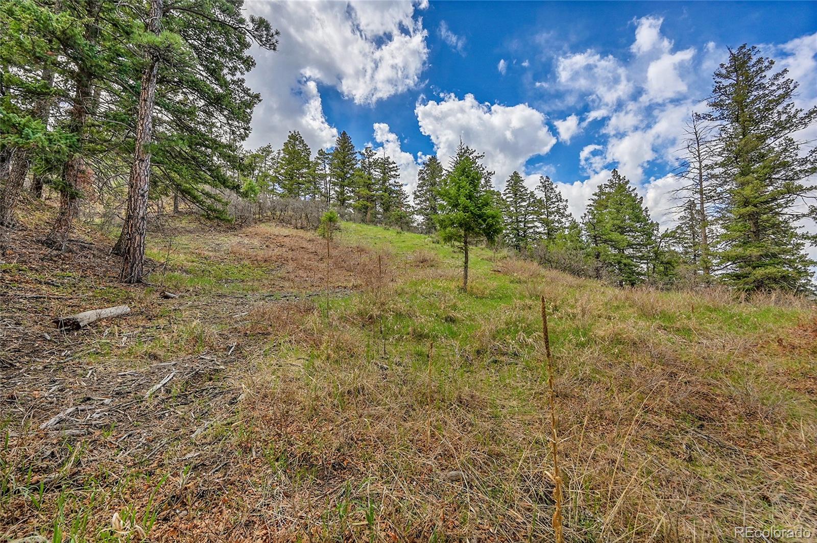 8093 Acoma Drive Larkspur CO 80118