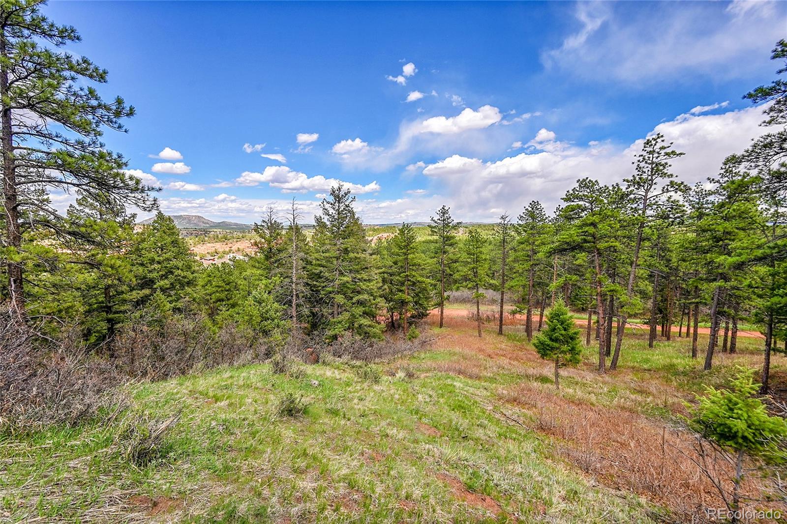 8093 Acoma Drive Larkspur CO 80118