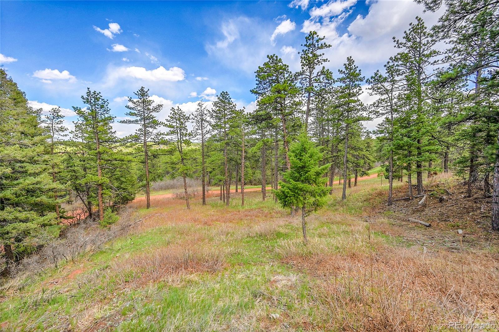8093 Acoma Drive Larkspur CO 80118