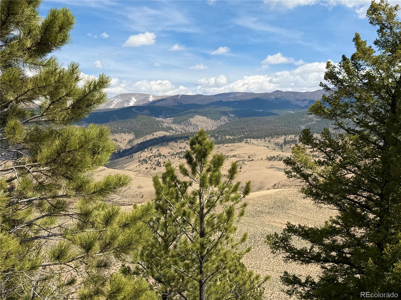 98 Northview Drive Twin Lakes CO 81251
