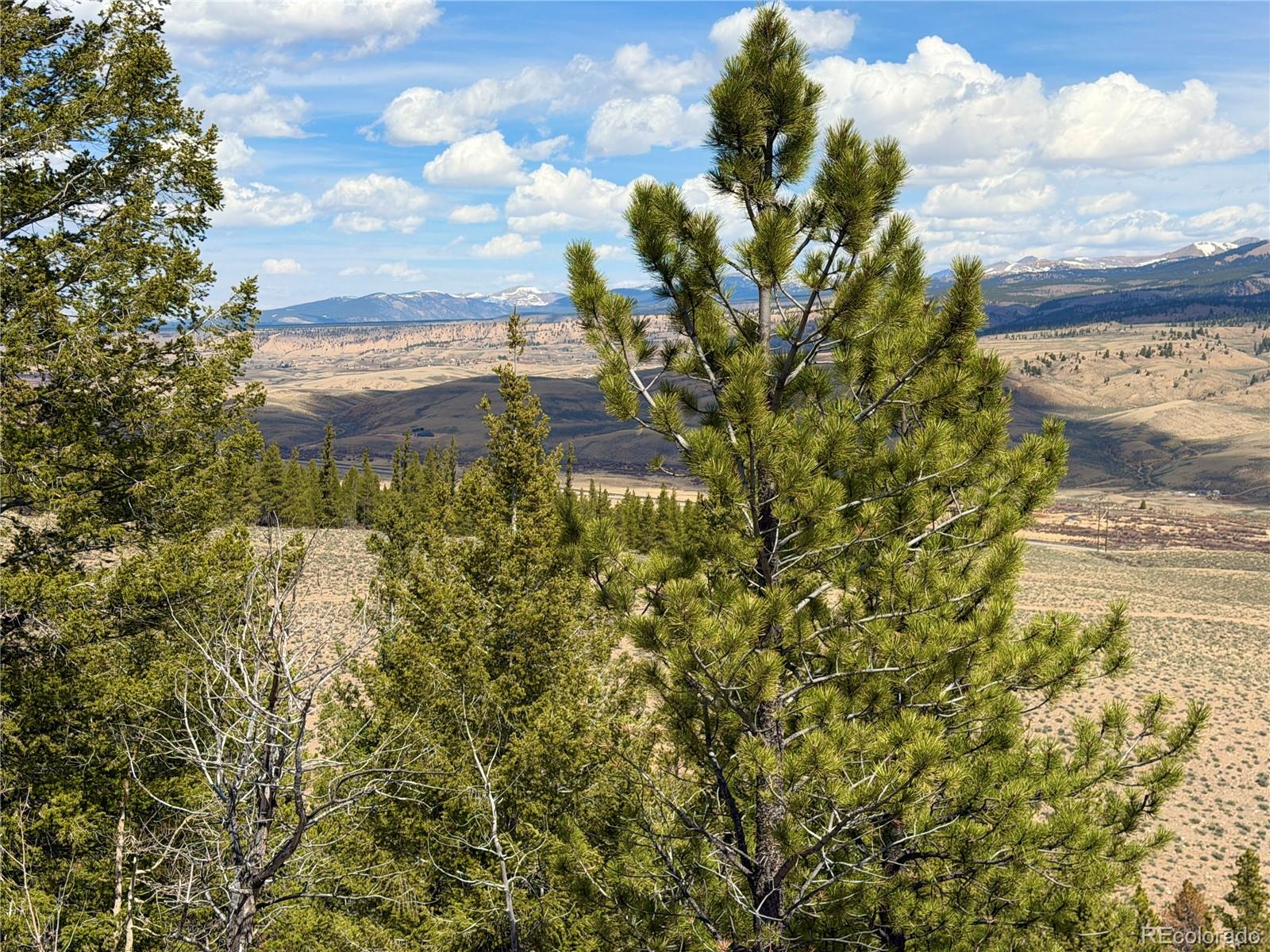 98 Northview Drive Twin Lakes CO 81251