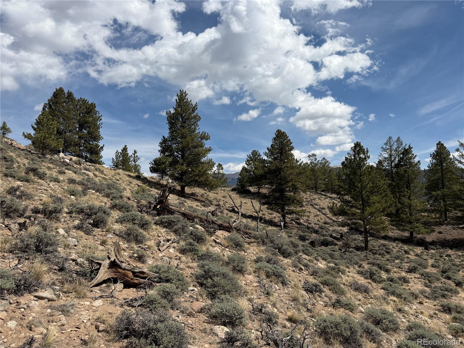 98 Northview Drive Twin Lakes CO 81251