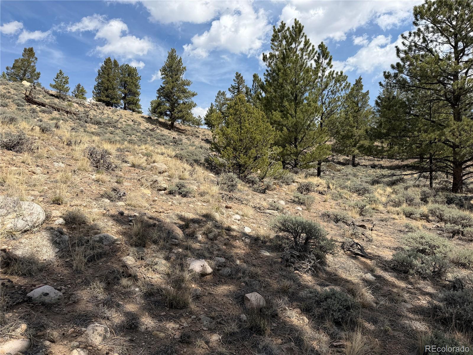 98 Northview Drive Twin Lakes CO 81251
