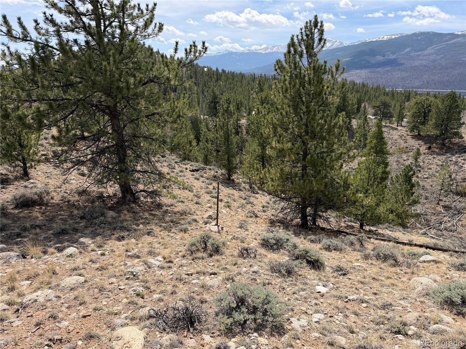 98 Northview Drive Twin Lakes CO 81251