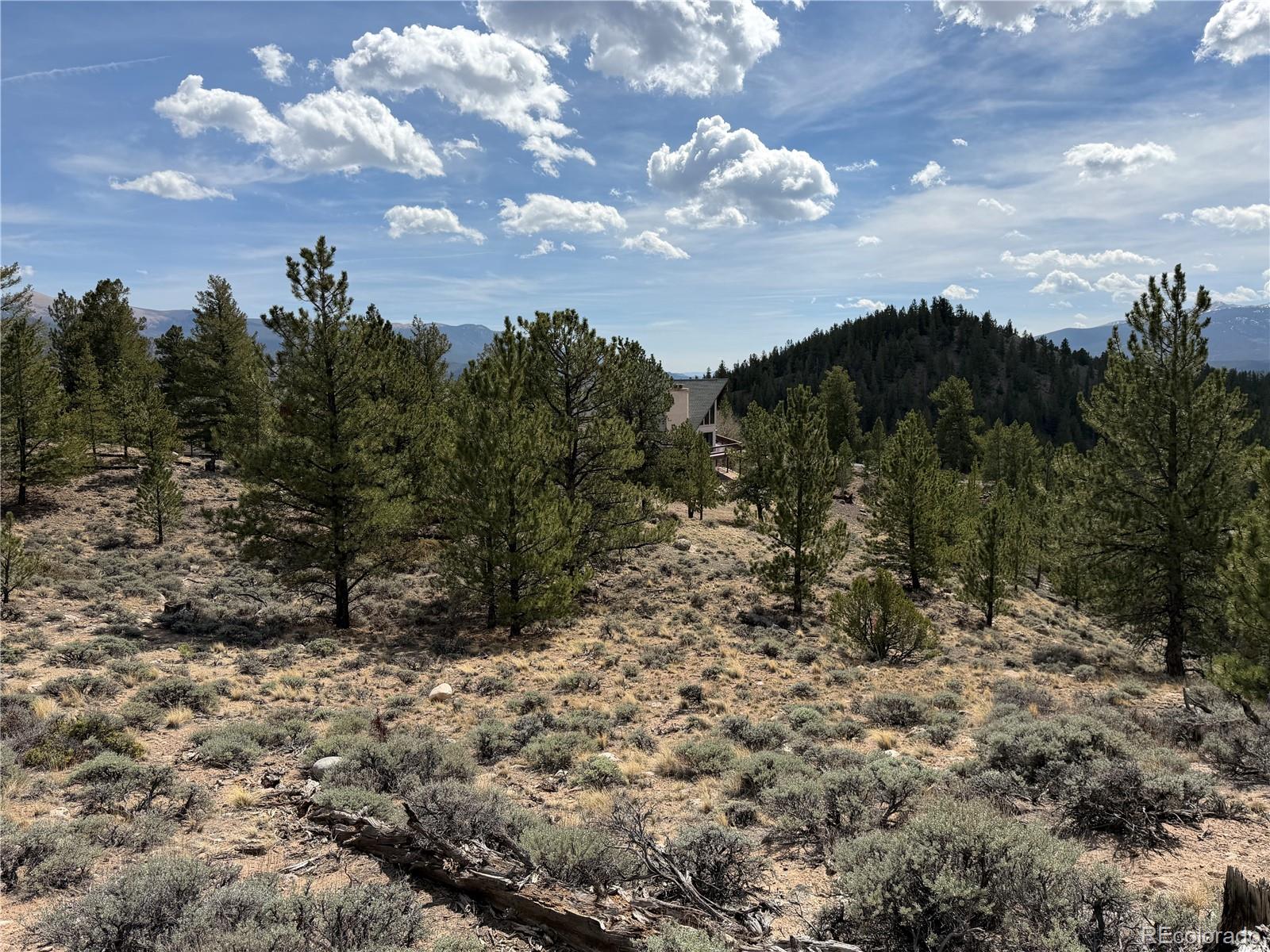 98 Northview Drive Twin Lakes CO 81251