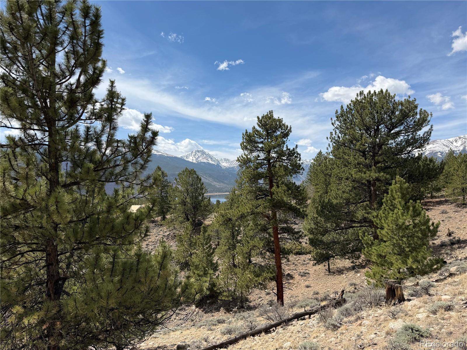 98 Northview Drive Twin Lakes CO 81251