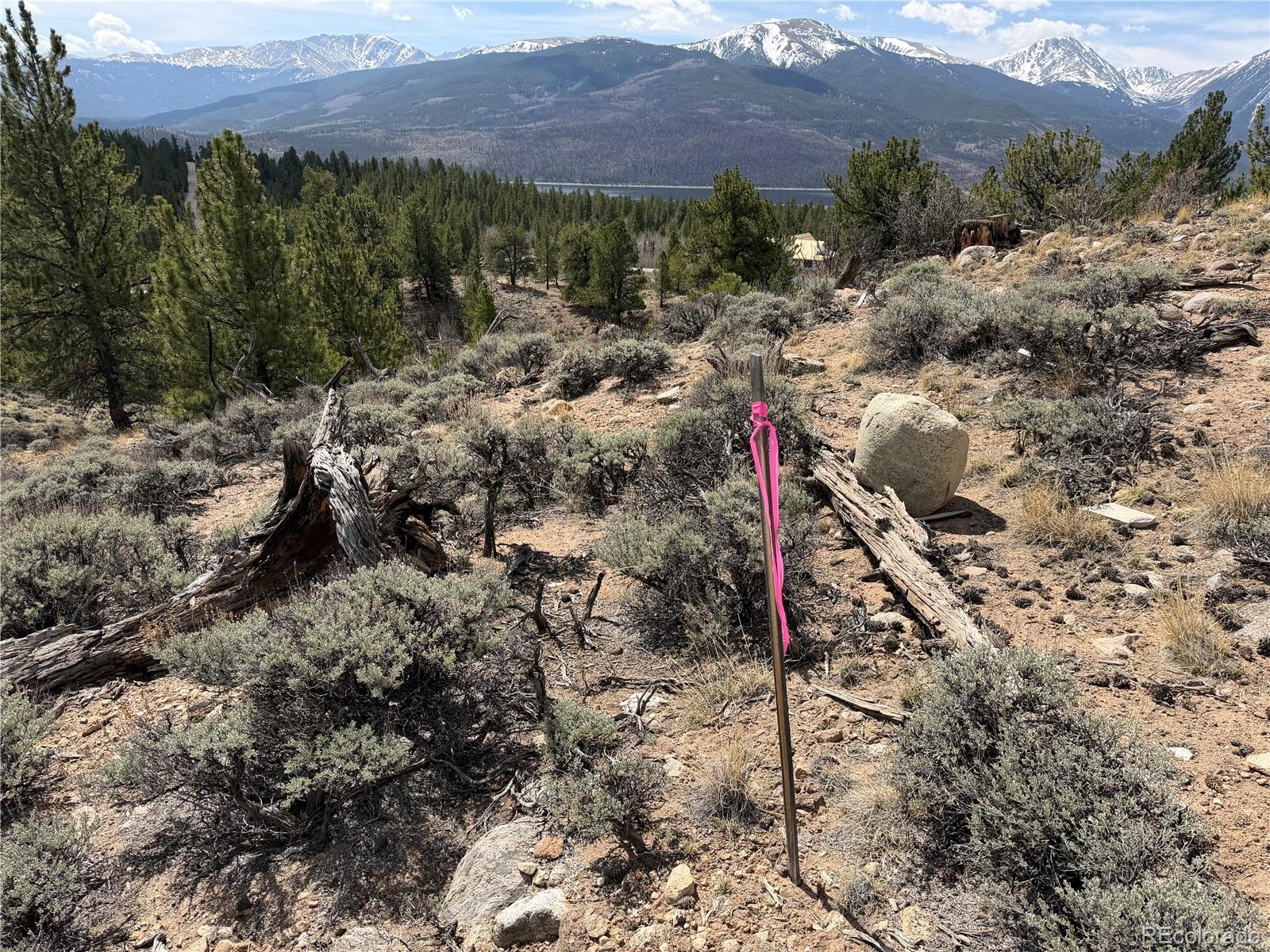 98 Northview Drive Twin Lakes CO 81251