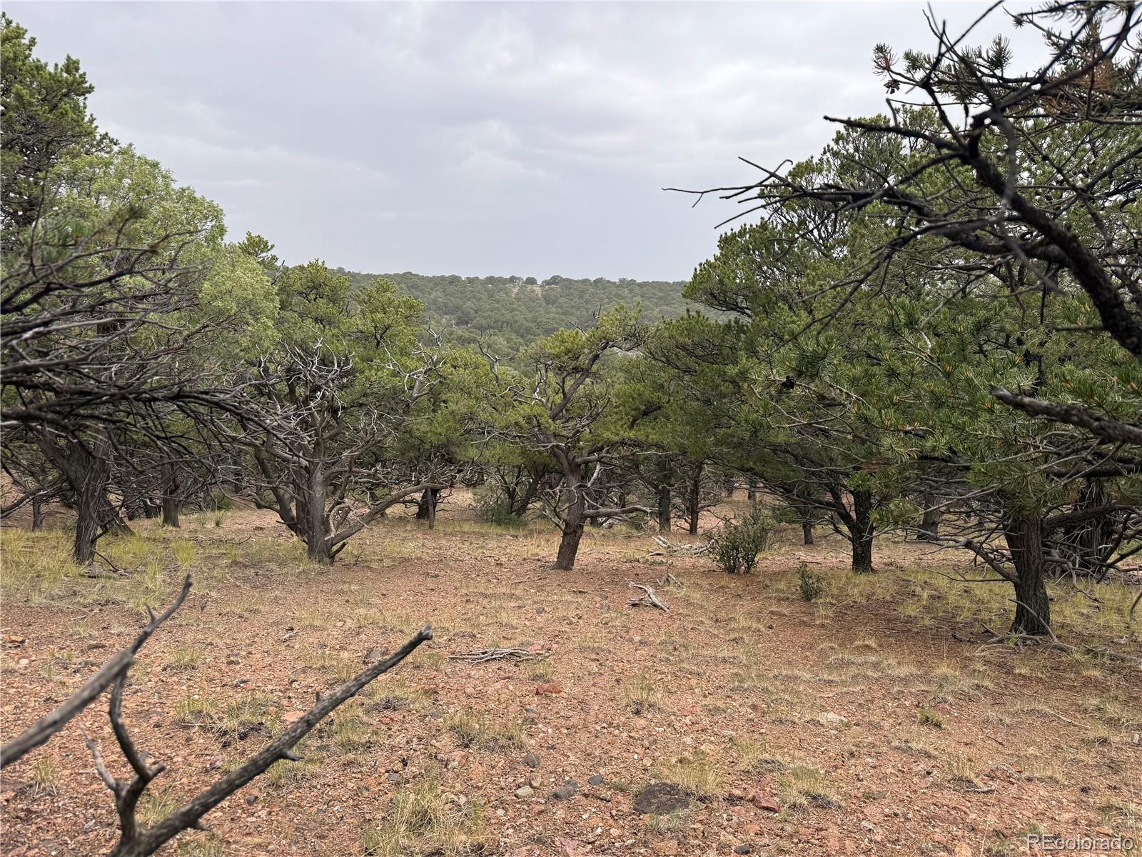 7863 Platten Road Fort Garland CO 81133