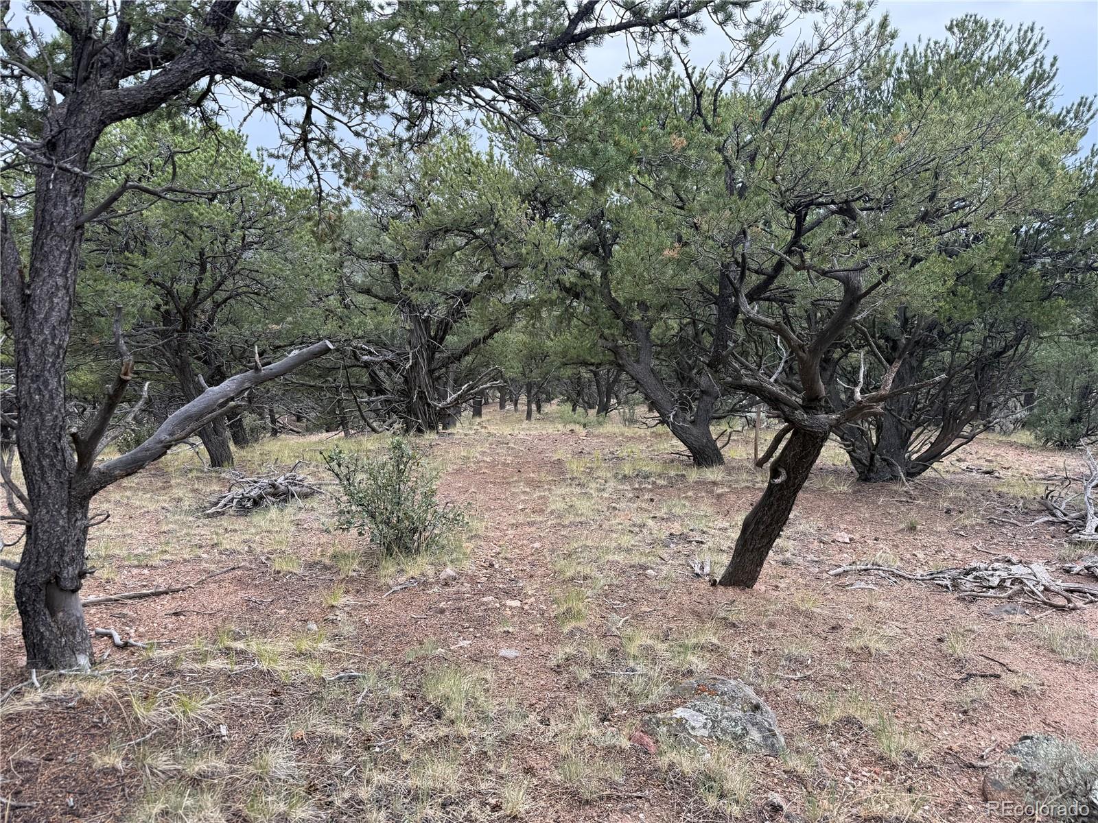 7863 Platten Road Fort Garland CO 81133
