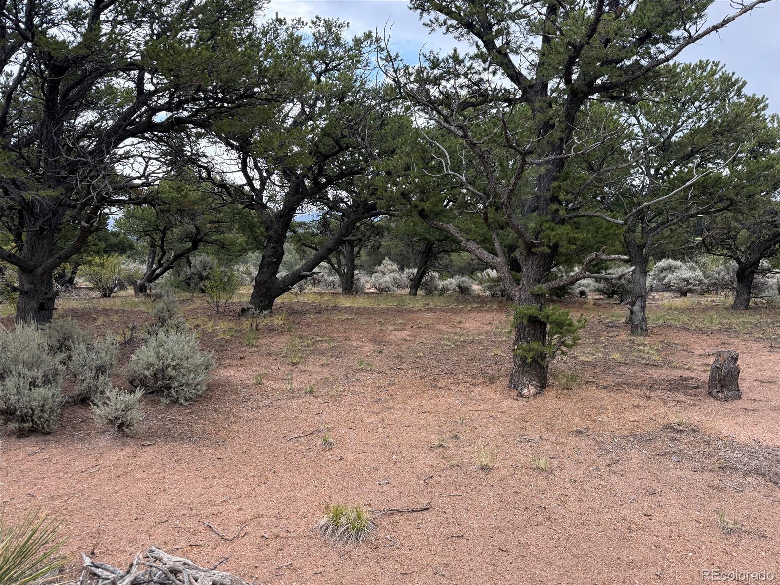 7863 Platten Road Fort Garland CO 81133