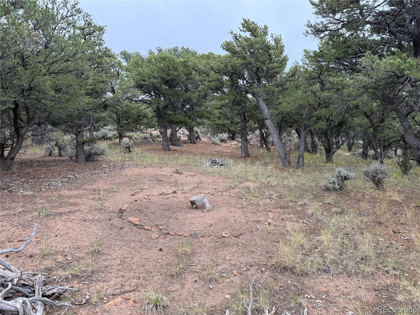 7863 Platten Road Fort Garland CO 81133