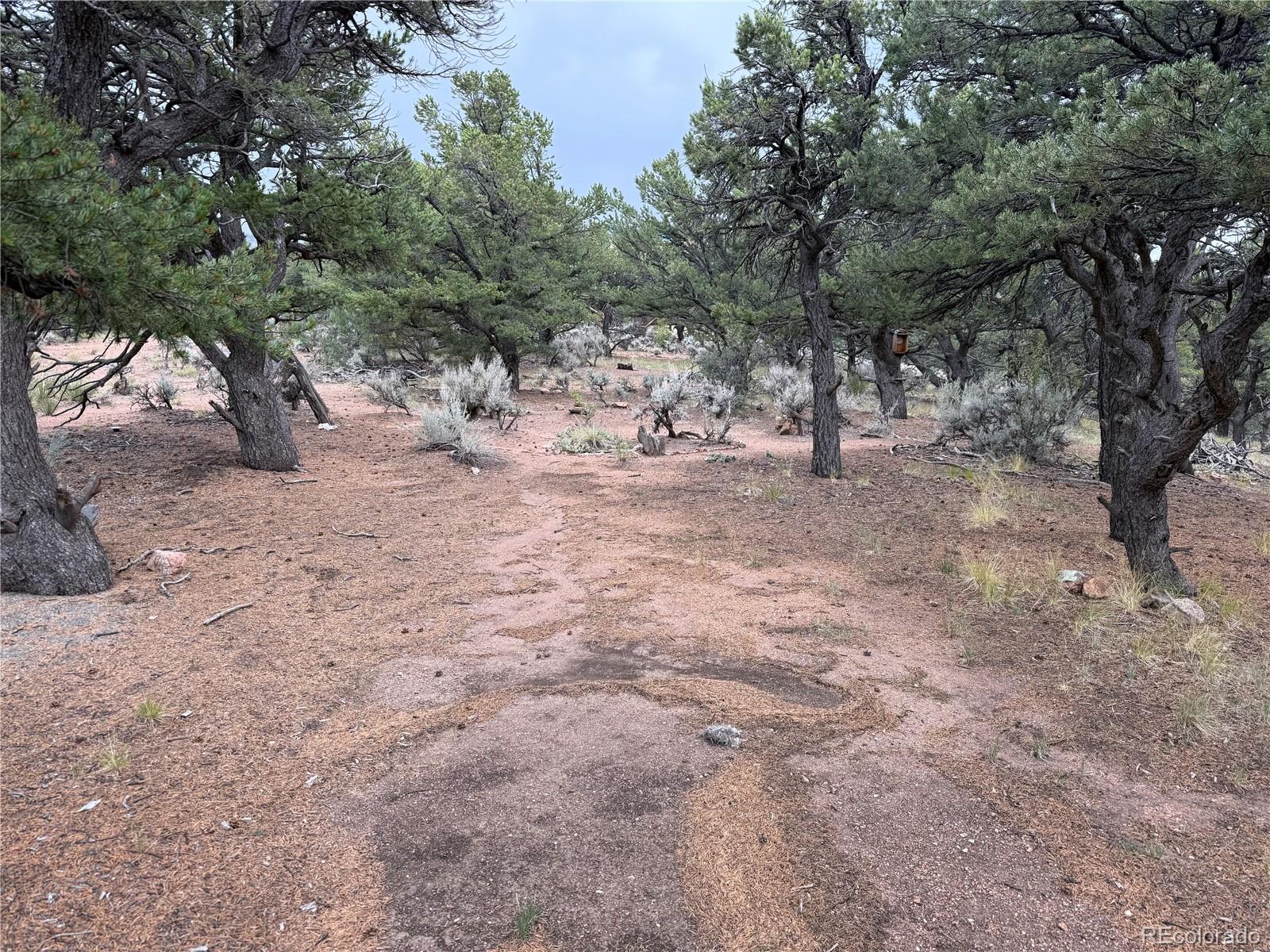 7863 Platten Road Fort Garland CO 81133
