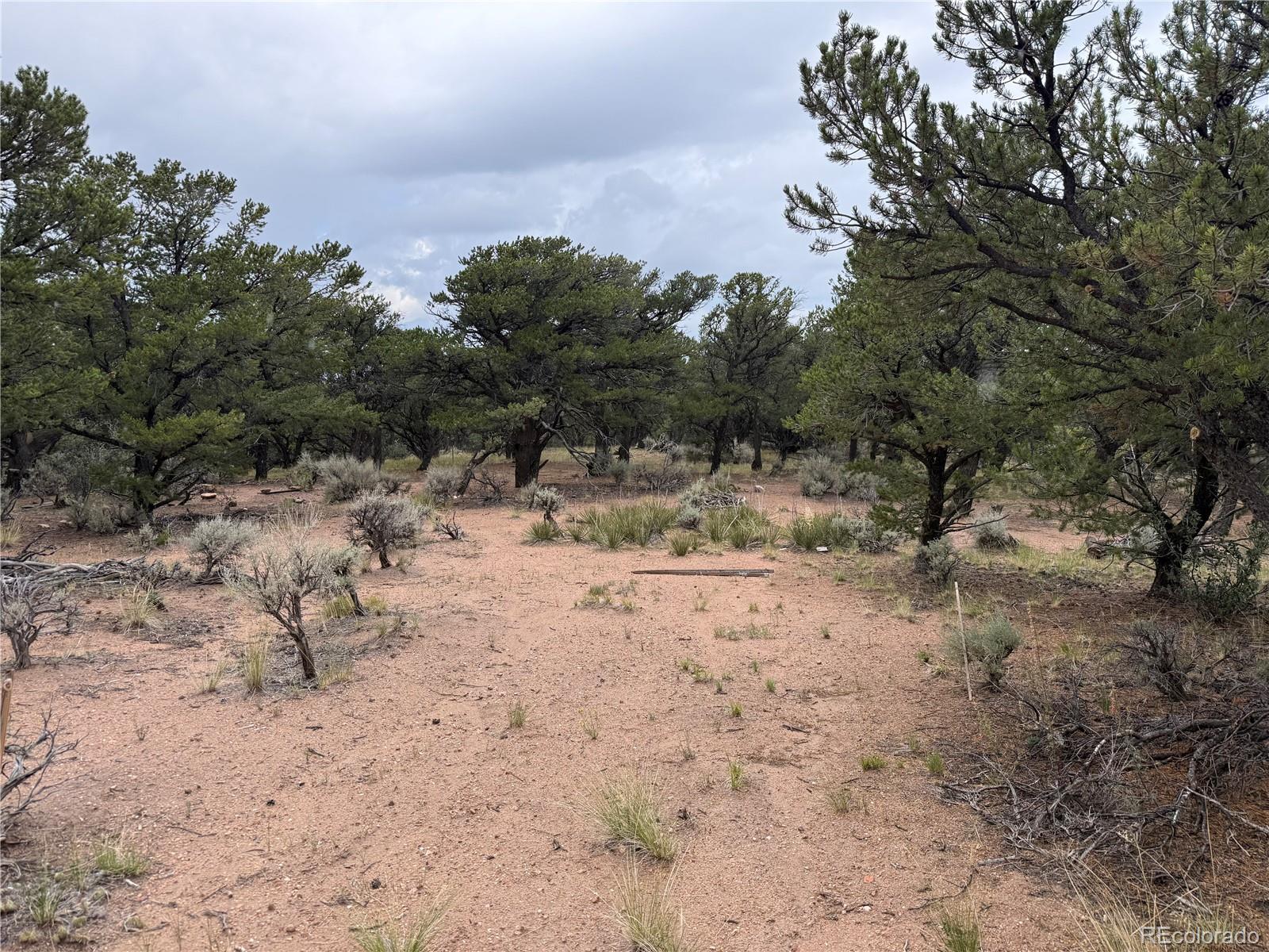 7863 Platten Road Fort Garland CO 81133