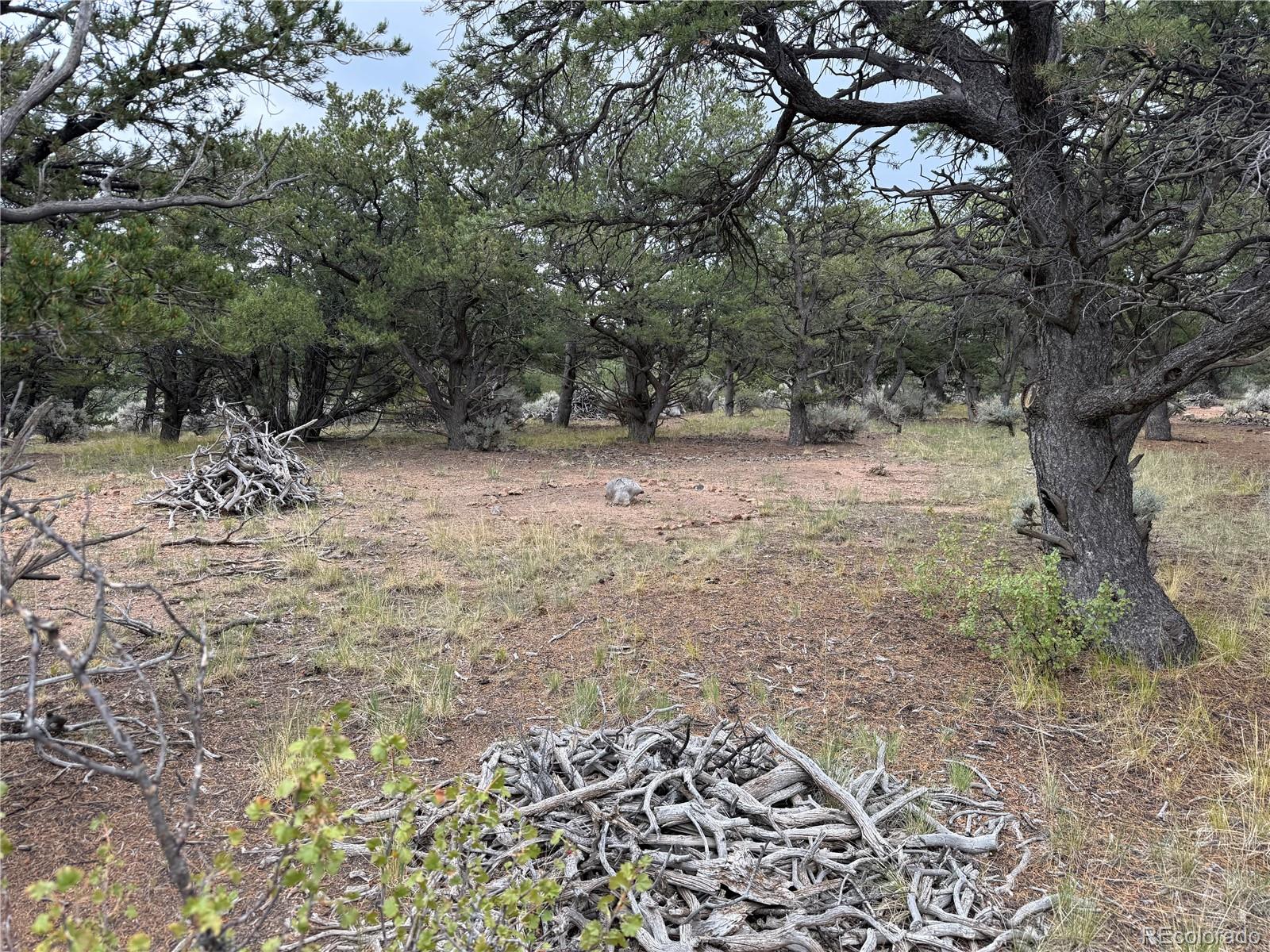 7863 Platten Road Fort Garland CO 81133