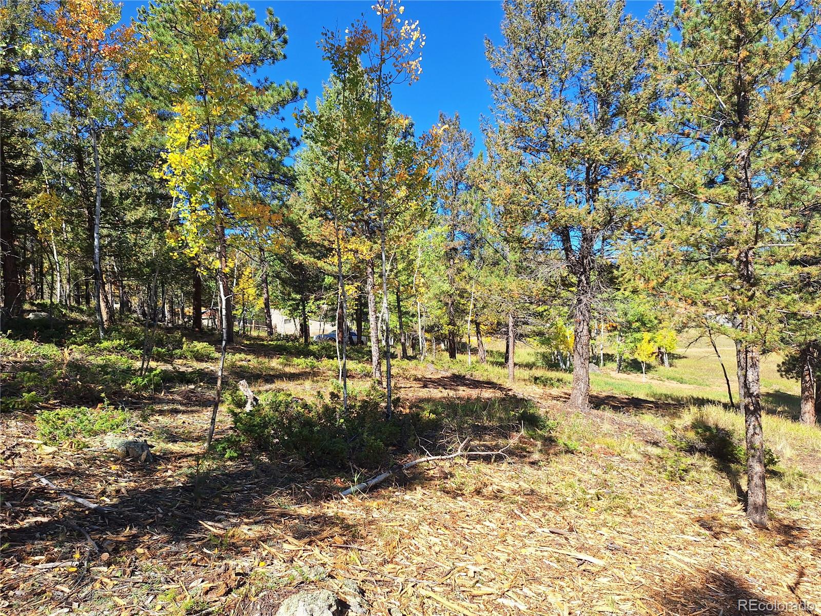 1504 County Road 43 Bailey CO 80421