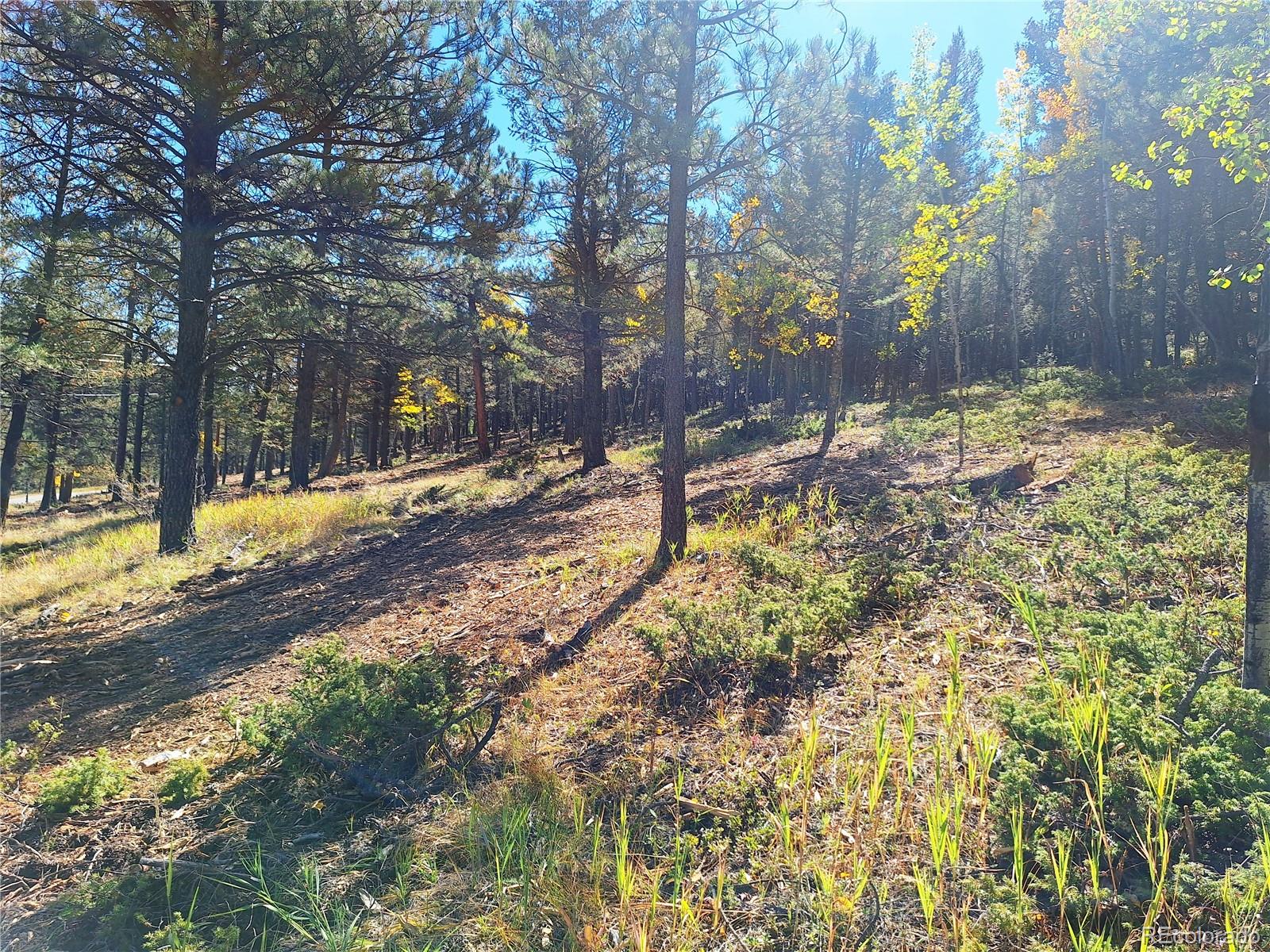 1504 County Road 43 Bailey CO 80421
