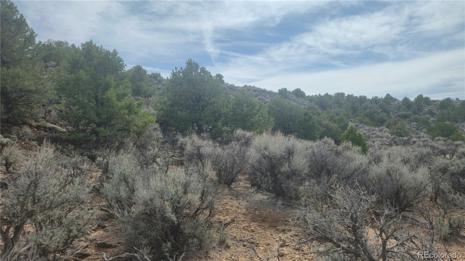 0 Bilby Road Fort Garland CO 81133