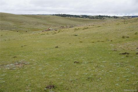 0 High Drive Hartsel CO 80449