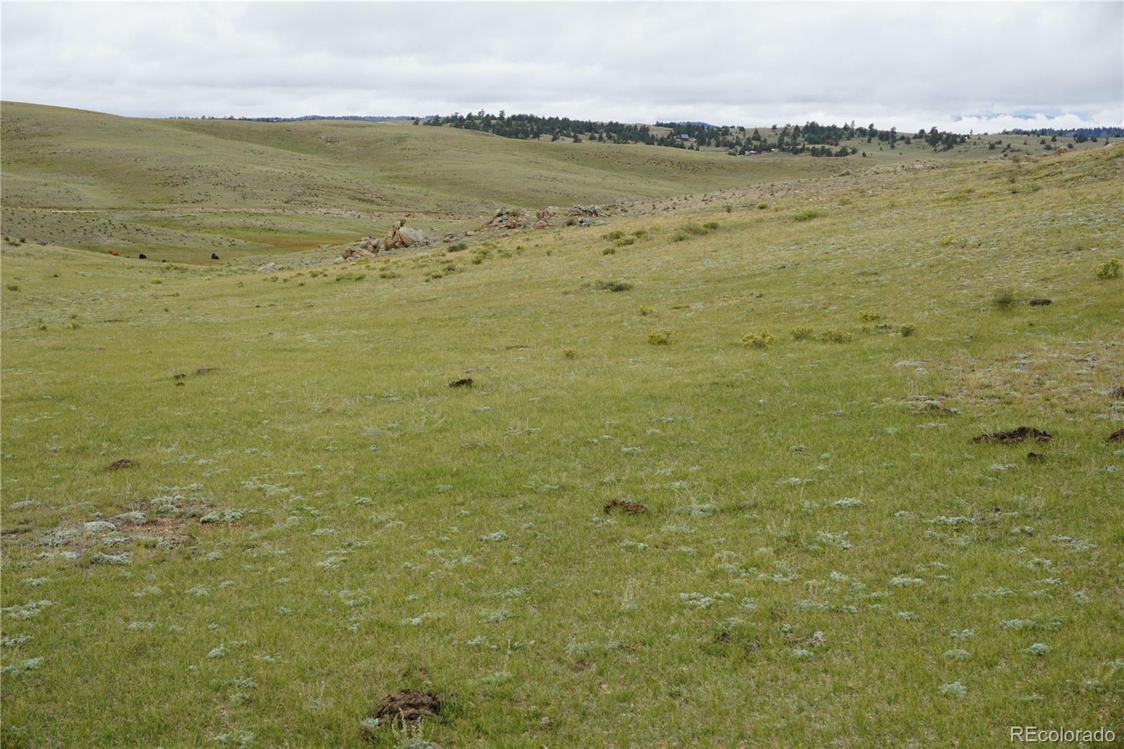 0 High Drive Hartsel CO 80449