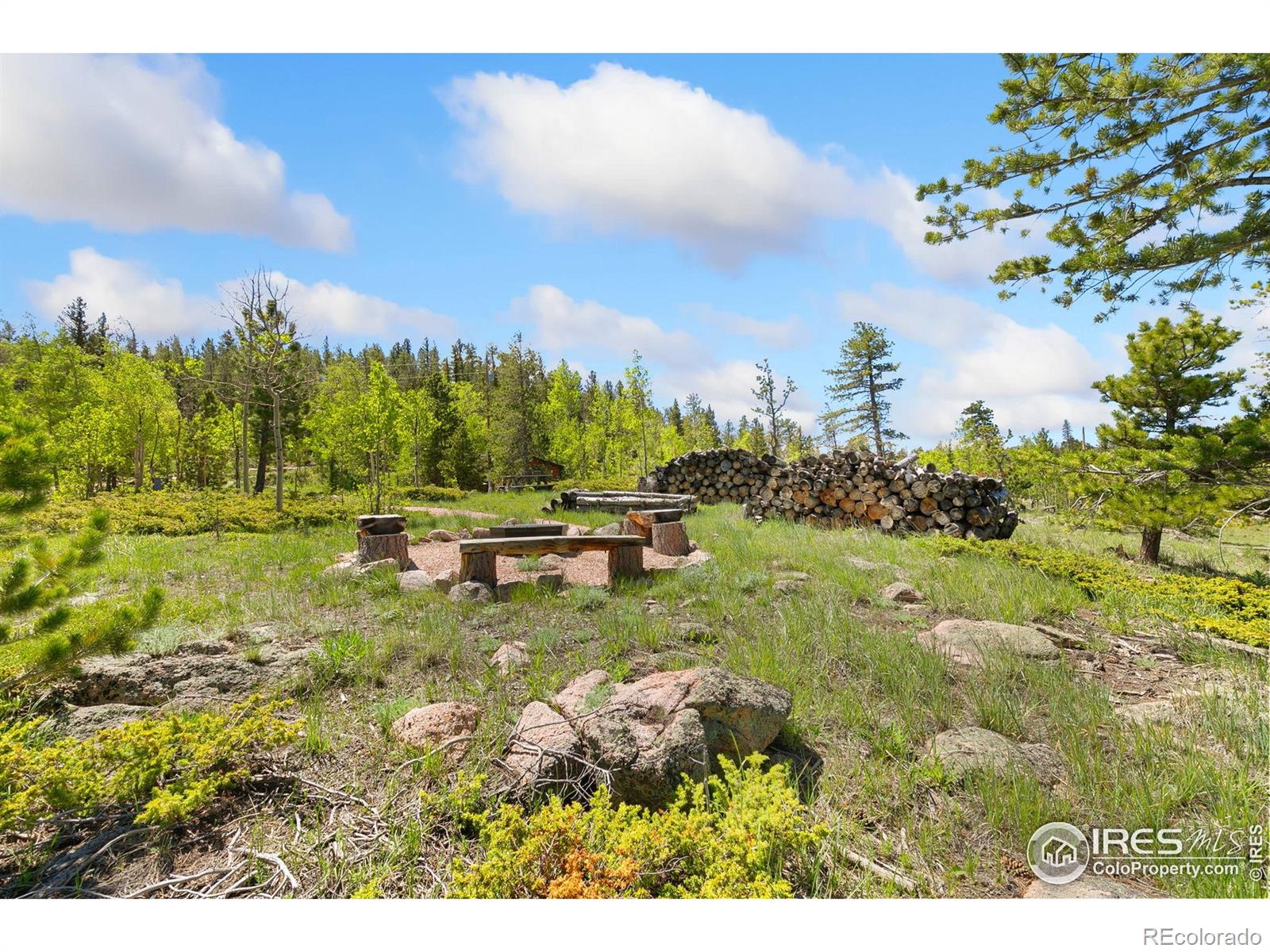 5449 N County Road 73c Red Feather Lakes CO 80545