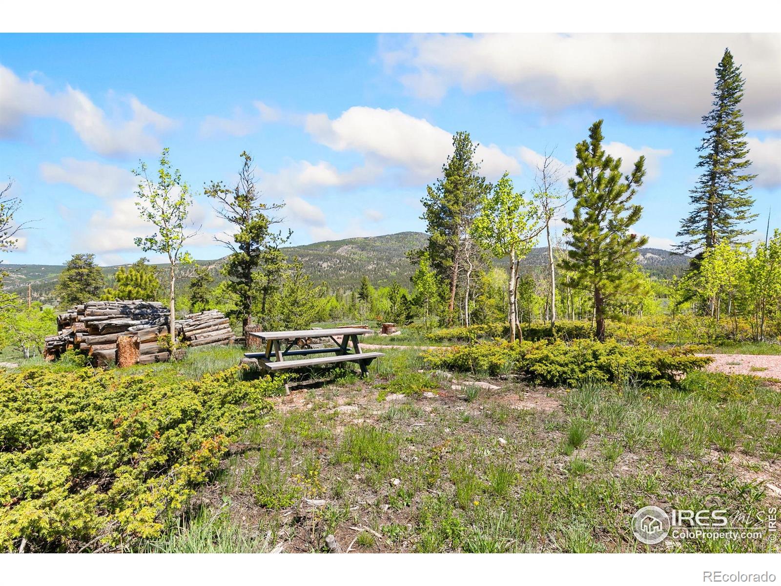 5449 N County Road 73c Red Feather Lakes CO 80545