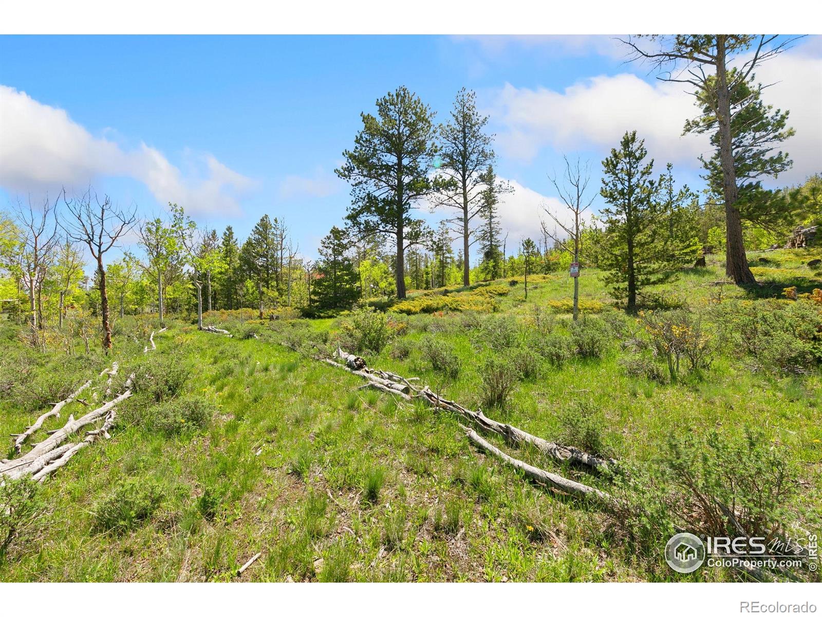 5449 N County Road 73c Red Feather Lakes CO 80545