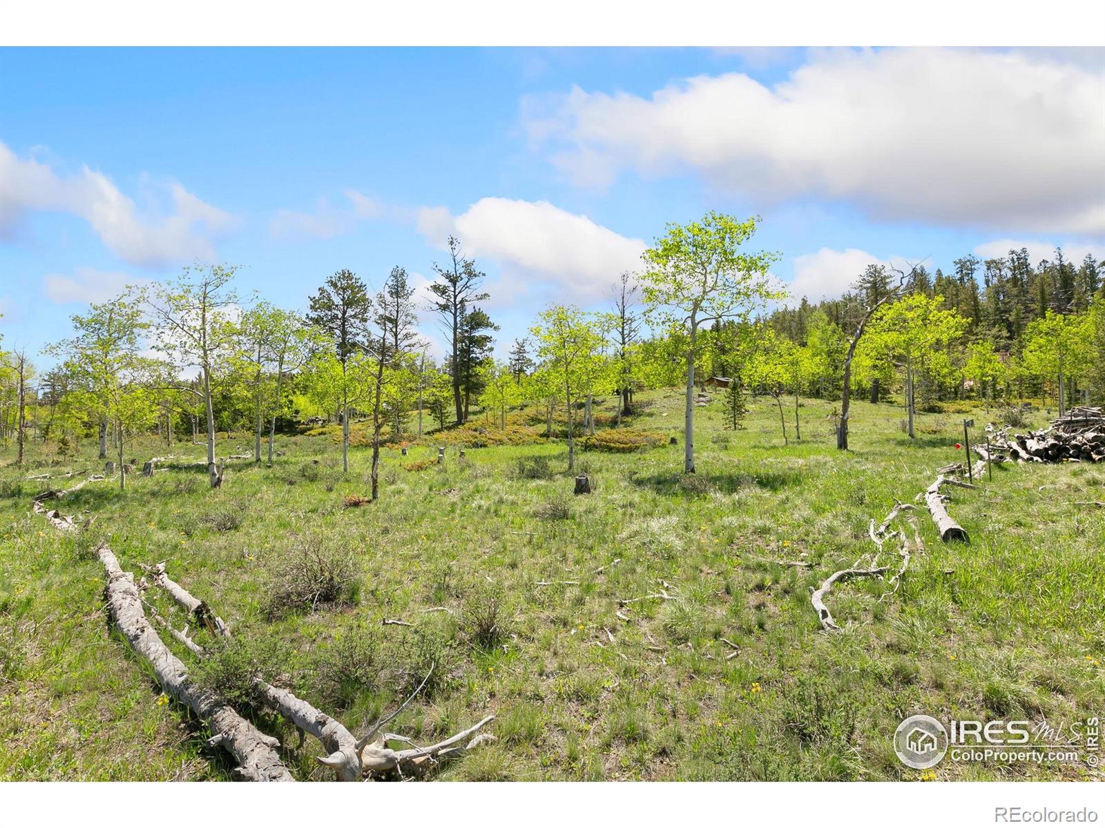 5449 N County Road 73c Red Feather Lakes CO 80545