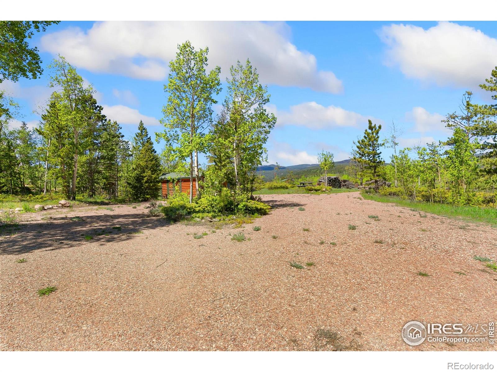 5449 N County Road 73c Red Feather Lakes CO 80545