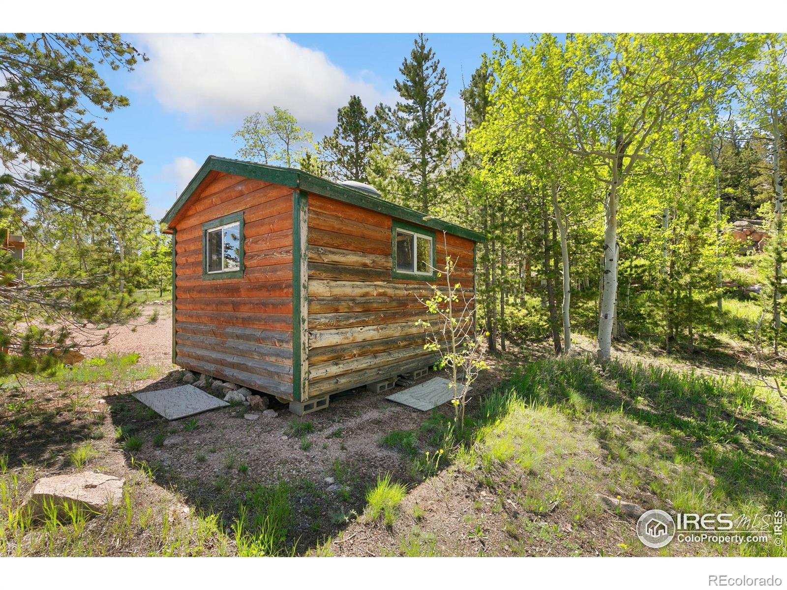 5449 N County Road 73c Red Feather Lakes CO 80545