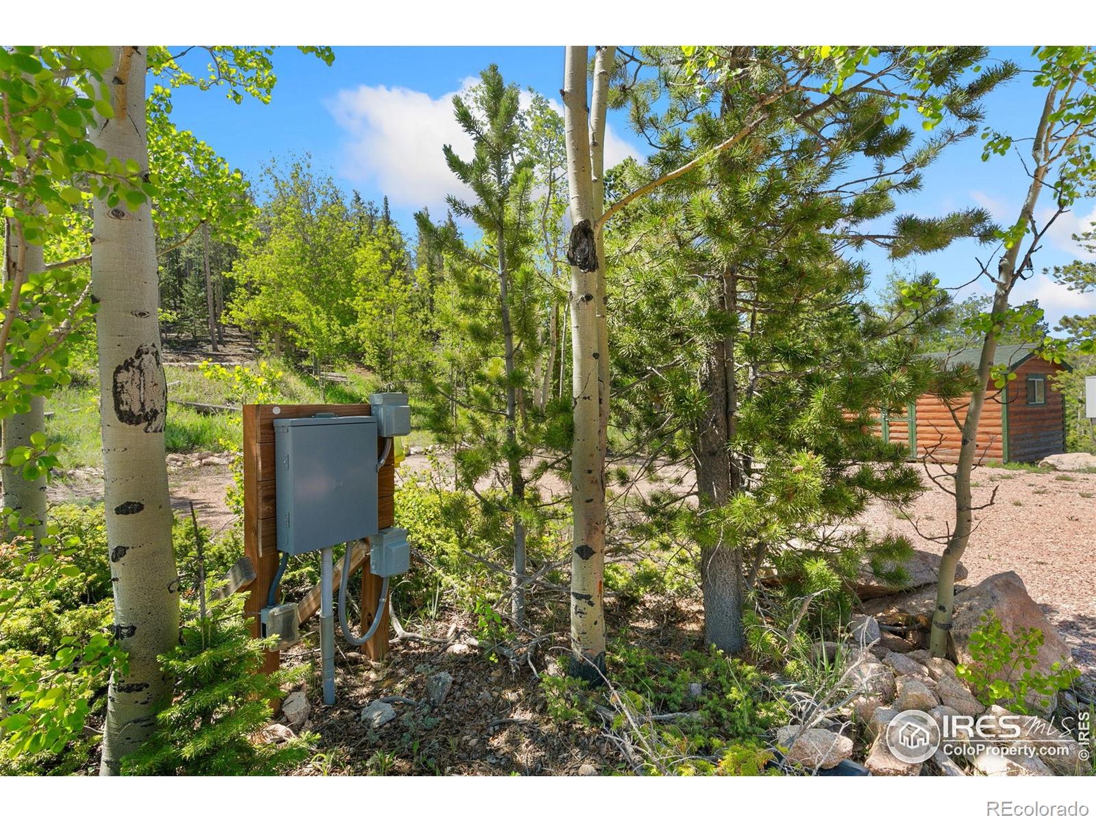 5449 N County Road 73c Red Feather Lakes CO 80545