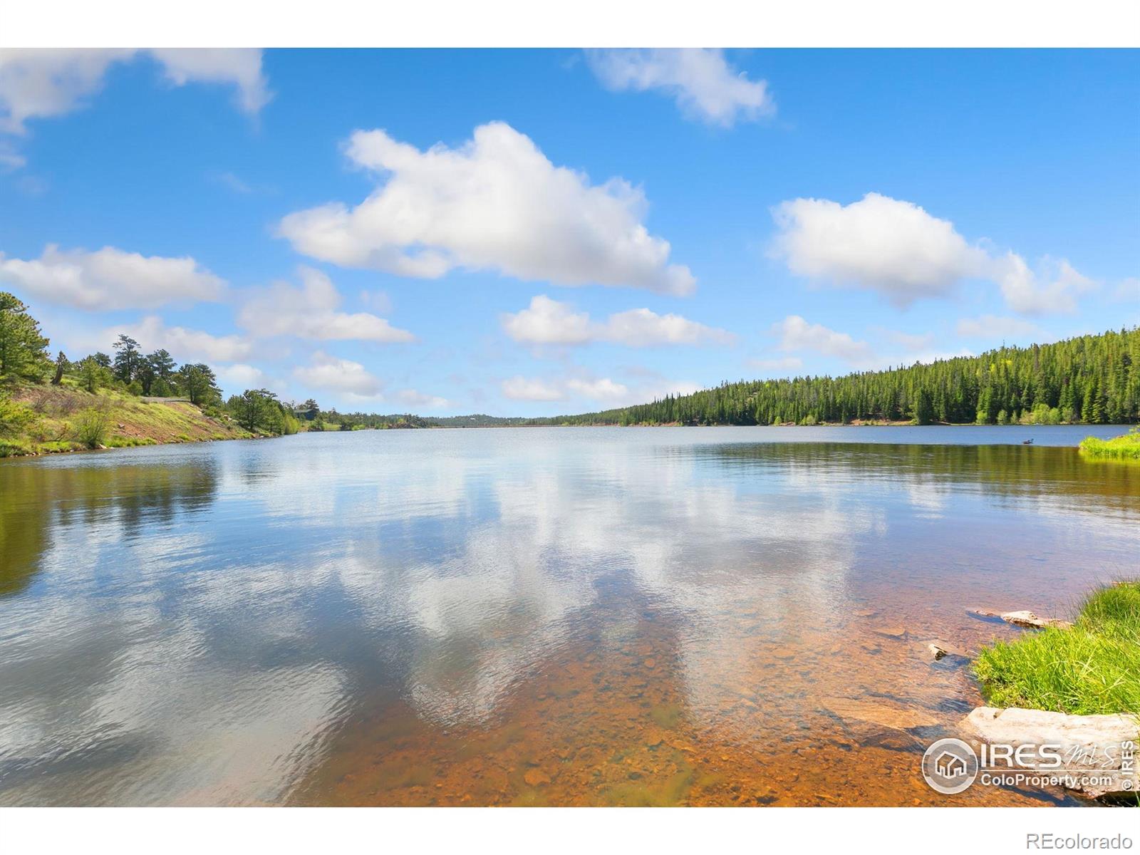 5449 N County Road 73c Red Feather Lakes CO 80545