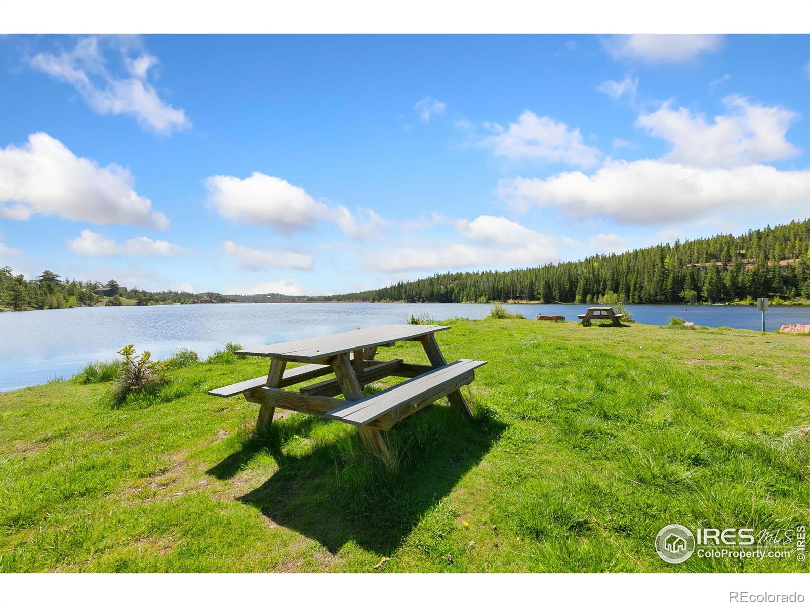 5449 N County Road 73c Red Feather Lakes CO 80545