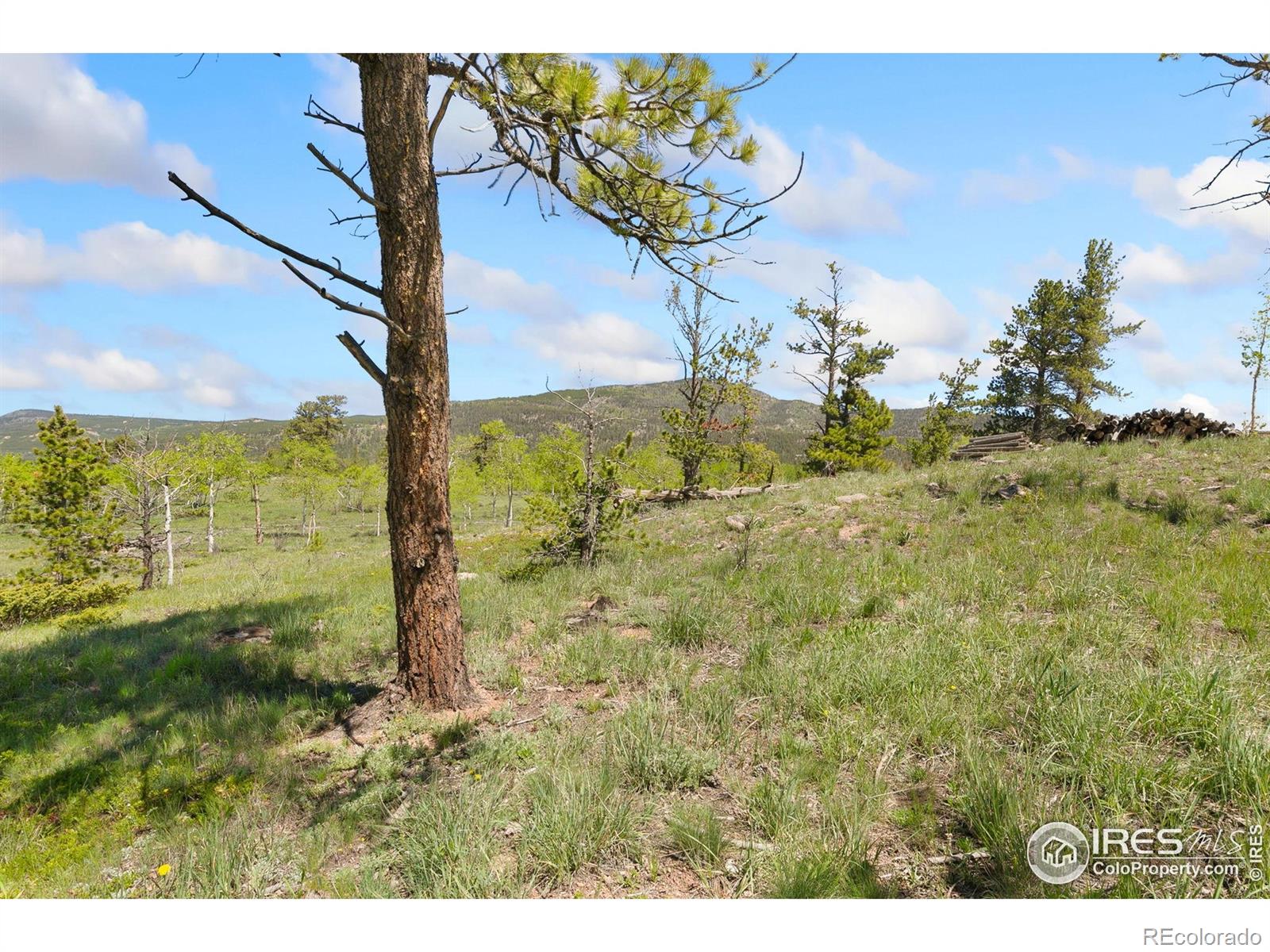5449 N County Road 73c Red Feather Lakes CO 80545