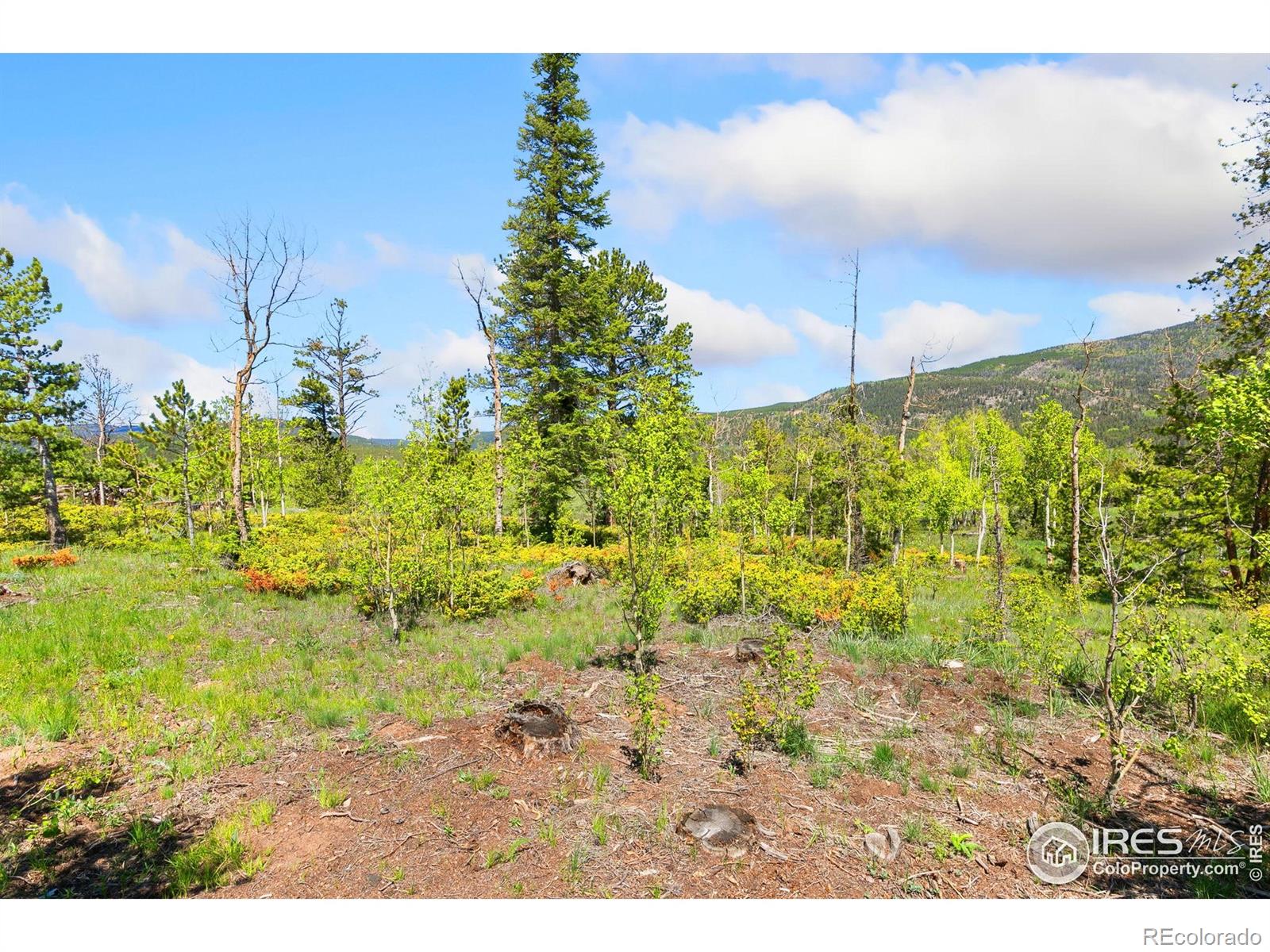 5449 N County Road 73c Red Feather Lakes CO 80545
